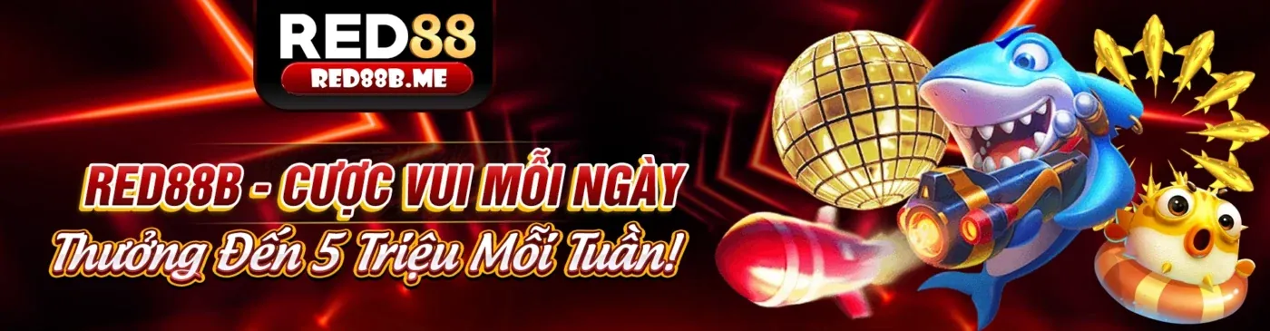 Hình ảnh nền tảng cá cược an toàn và minh bạch của lc888